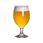 Citra IPA receptkit 20 l