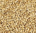 Bokrökt kornmalt Weyermann, hel 1 kg, för hembryggning av rököl.