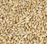 wienermalt (Weyermann®), hel, 25 kg